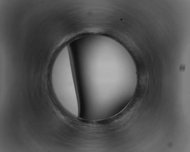 X0000101950256200807171140