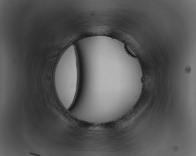 X0000101950259200807171140