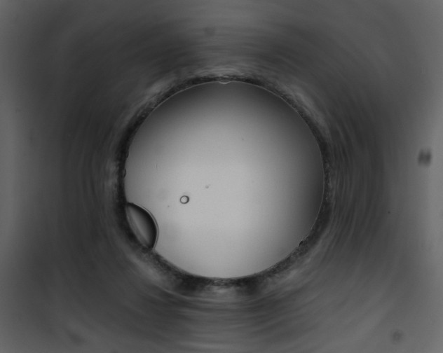 X0000101950260200807171140
