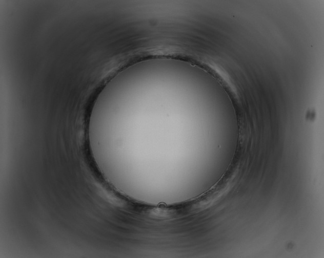X0000101950261200807171140