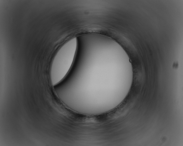 X0000101950262200807171140