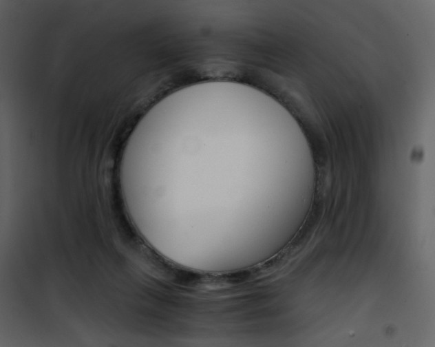 X0000101950263200807171140