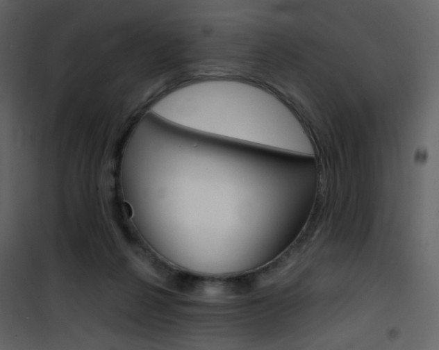 X0000101950264200807171140