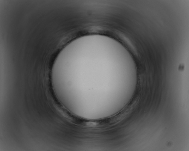 X0000101950265200807171140