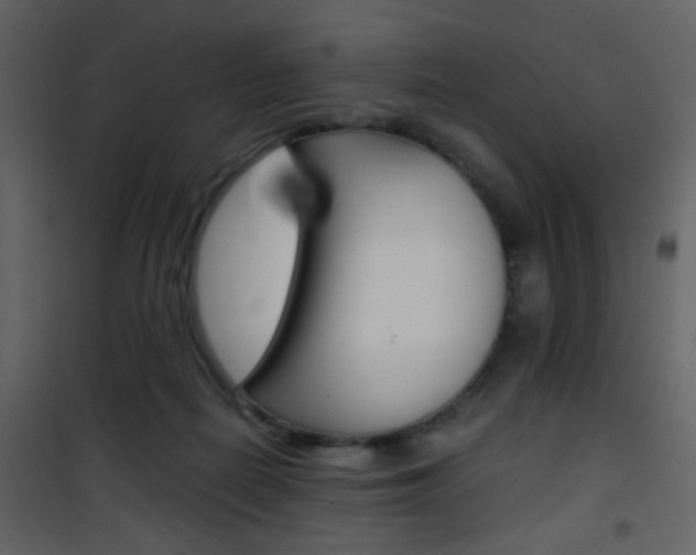 X0000101950266200807171140