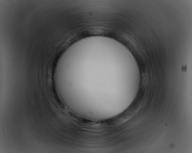 X0000101950267200807171140