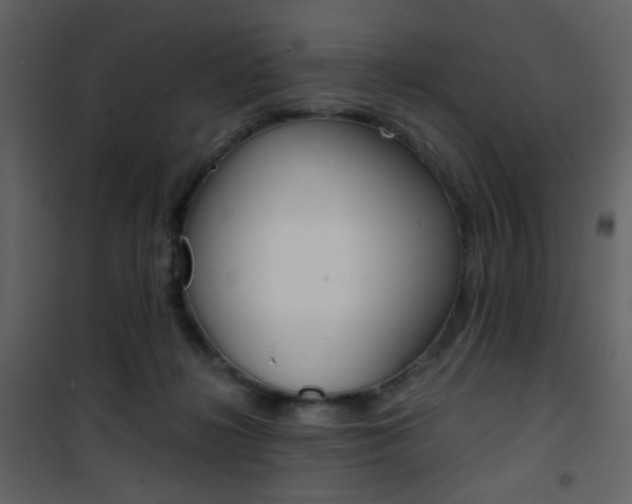 X0000101950268200807171140