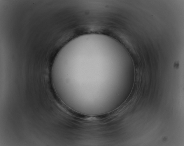 X0000101950269200807171140