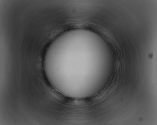 X0000101950270200807171140