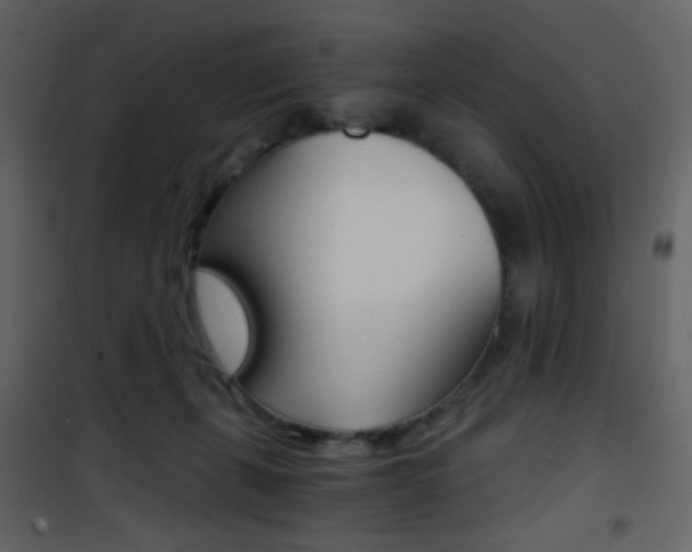 X0000101950271200807171140