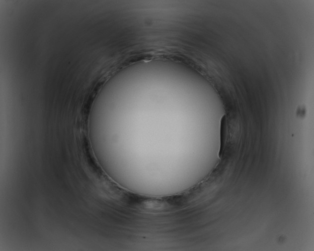 X0000101950272200807171140