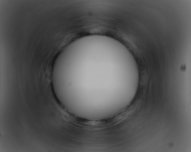 X0000101950273200807171140