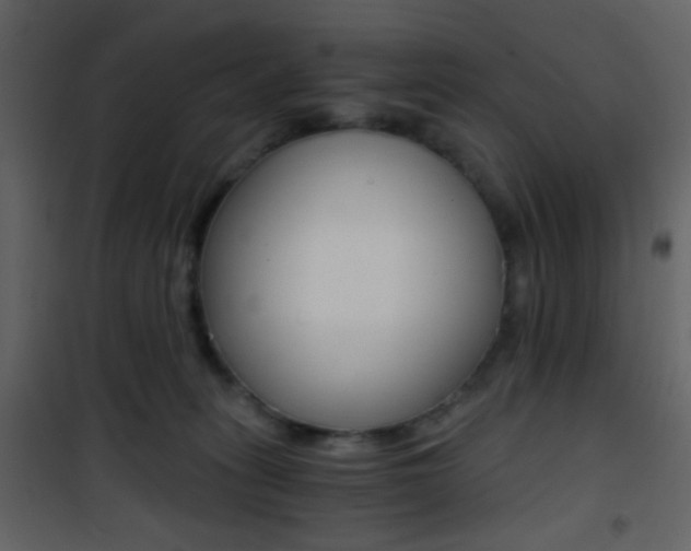 X0000101950275200807171140
