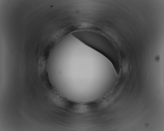 X0000101950276200807171140