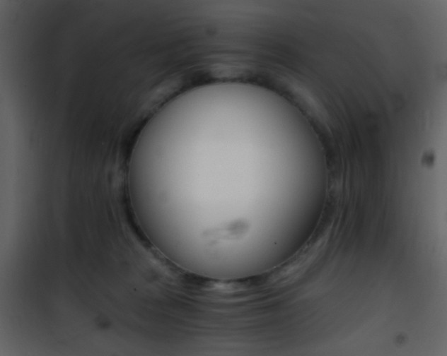 X0000101950277200807171140