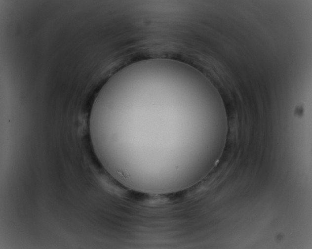 X0000101950278200807171140