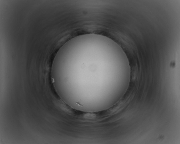 X0000101950279200807171140