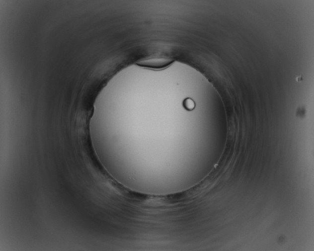 X0000101950280200807171140