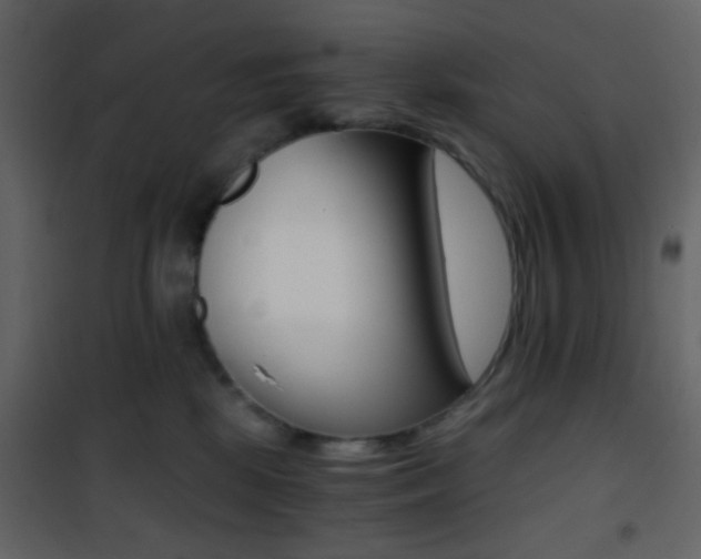 X0000101950281200807171140