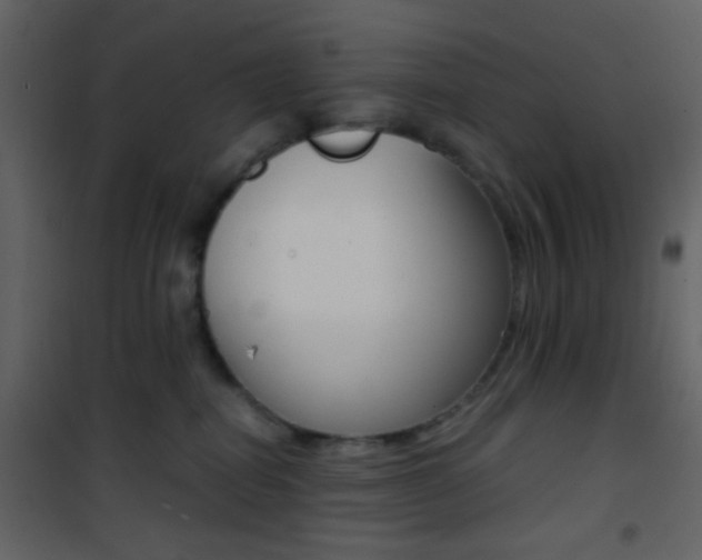 X0000101950282200807171140