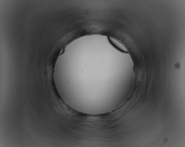 X0000101950283200807171140