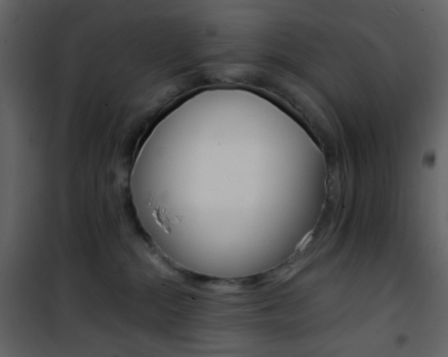 X0000101950284200807171140
