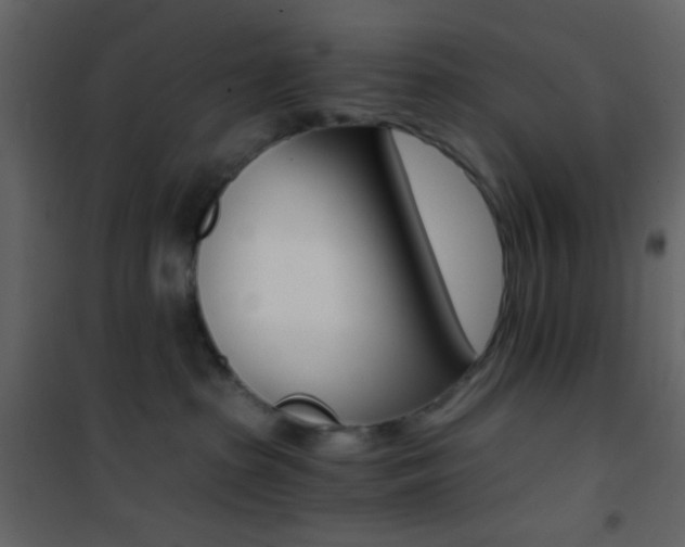 X0000101950285200807171140