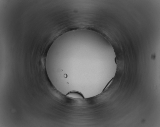 X0000101950286200807171140