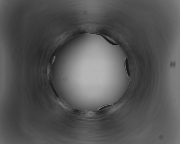 X0000101950288200807171140