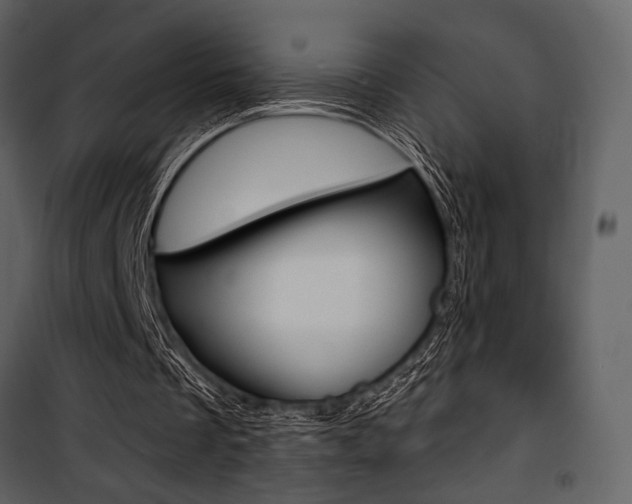 X0000101950289200807171140