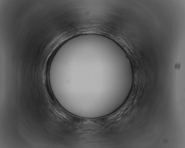 X0000101950290200807171140