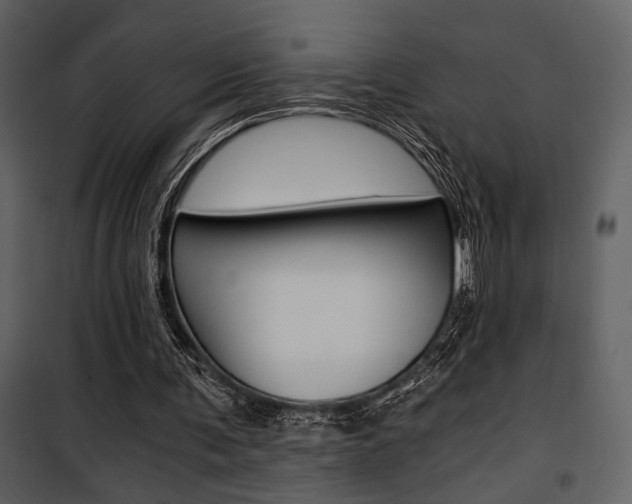 X0000101950291200807171140