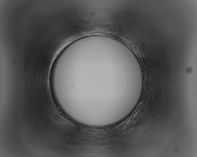 X0000101950292200807171140