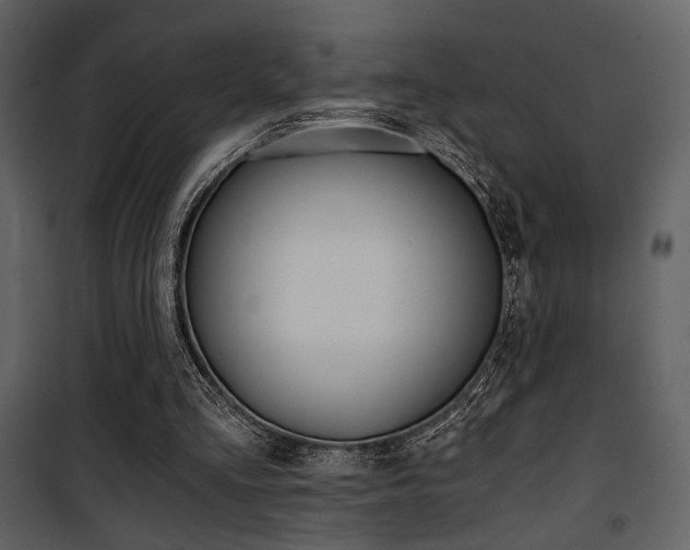 X0000101950293200807171140