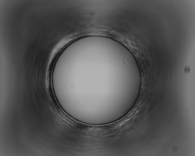 X0000101950294200807171140