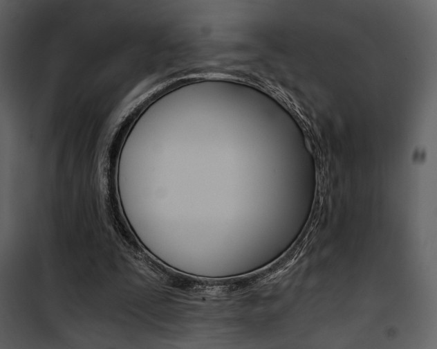 X0000101950295200807171140