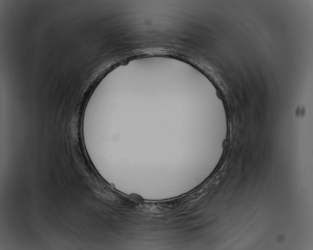 X0000101950297200807171140