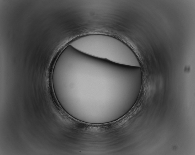X0000101950298200807171139