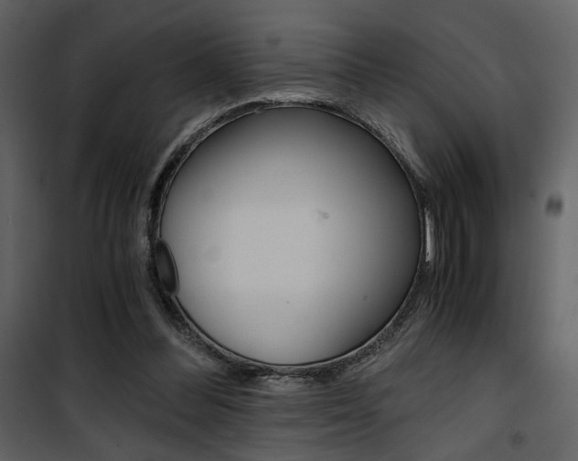 X0000101950300200807171139