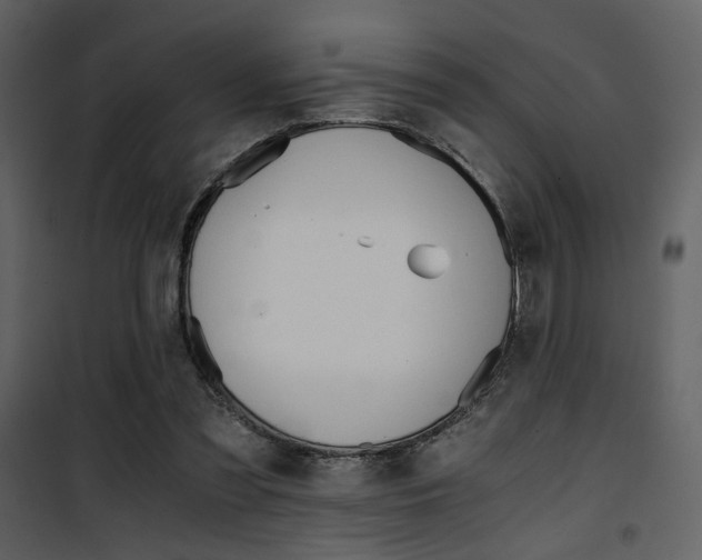 X0000101950301200807171139