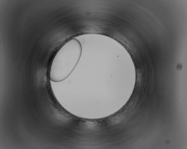 X0000101950302200807171139