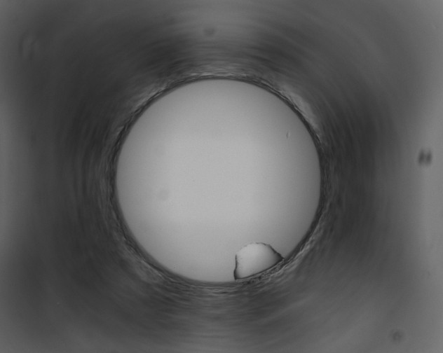 X0000101950305200807171139