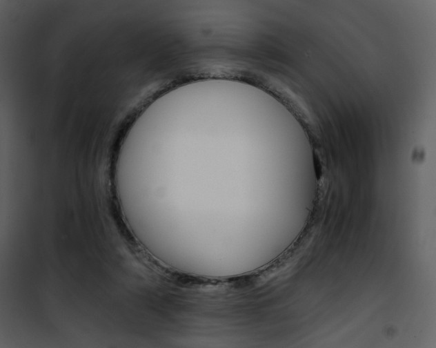 X0000101950306200807171139
