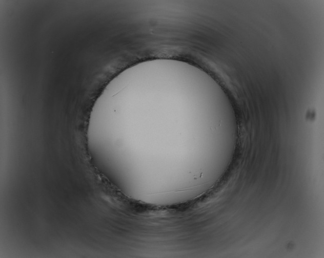 X0000101950307200807171139