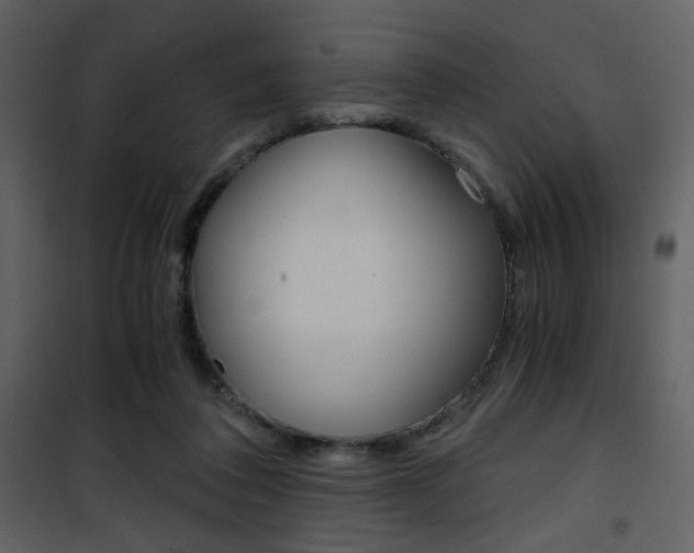 X0000101950308200807171139
