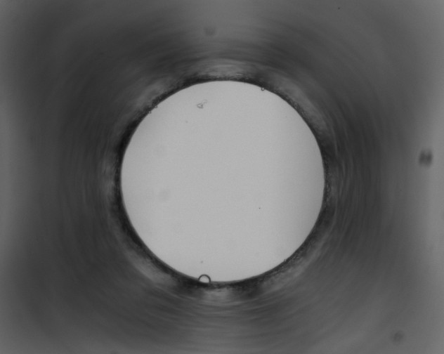 X0000101950309200807171139