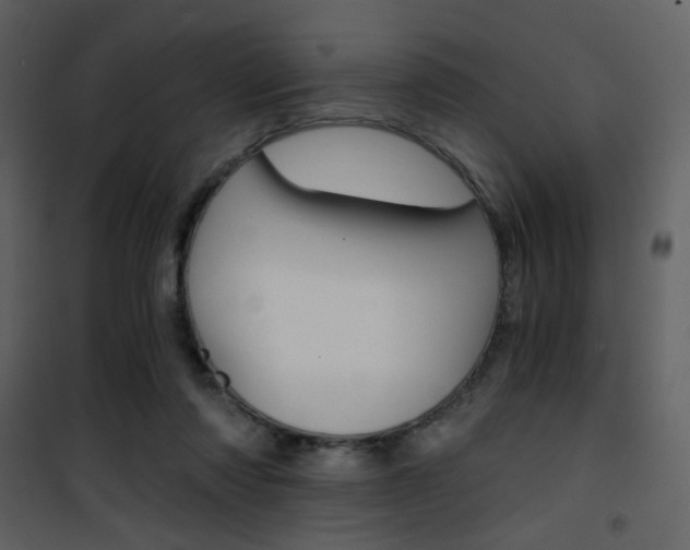 X0000101950310200807171139