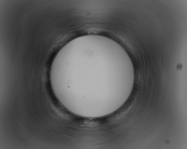 X0000101950311200807171139