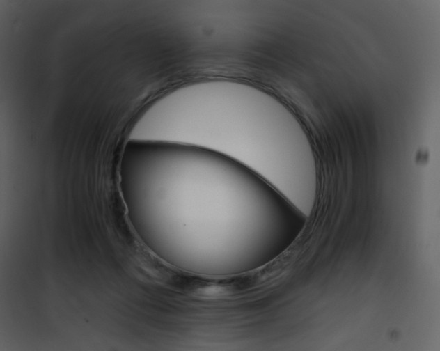 X0000101950312200807171139