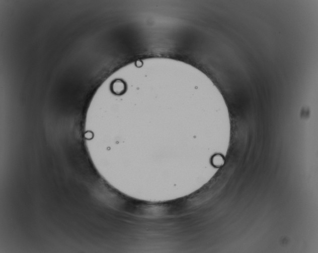 X0000101950313200807171139